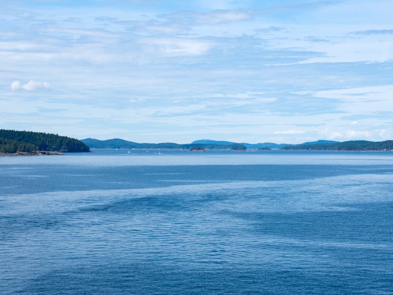 Salt Spring Island Ferry photo 1