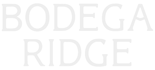 Bodega Cove logo