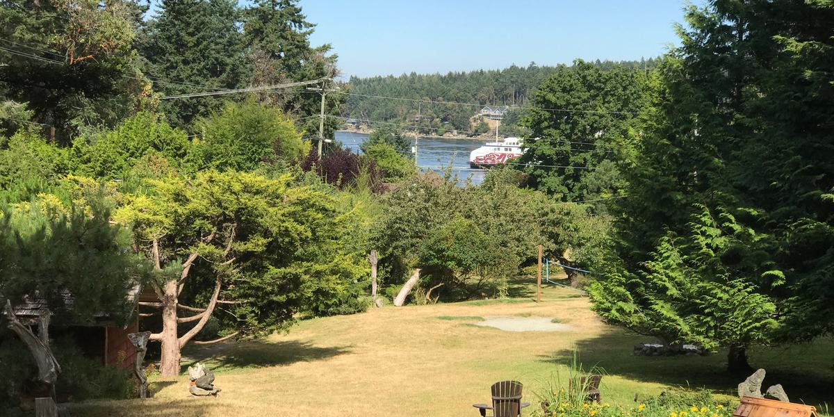 Driftwood Village photo 1