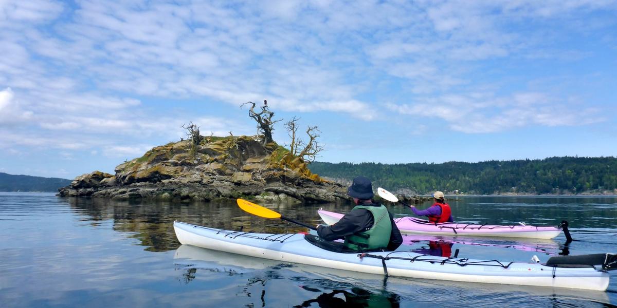 Gulf Island Kayaking photo 6