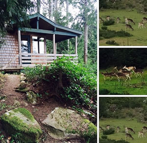 Felix Jack Guesthouse