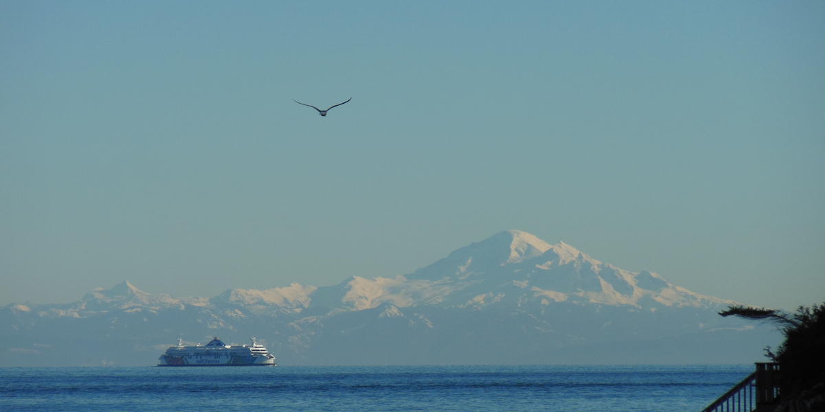 Seastar Cottage photo 4